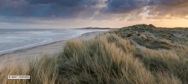 Zicht op zee vanuit duinen met helmgras