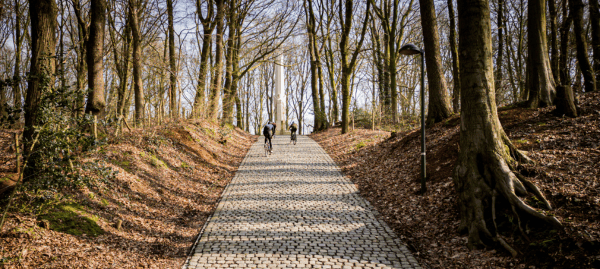 Fietsers rijden met een racefiets een kasseihelling op tussen de bomen in Vlaanderen