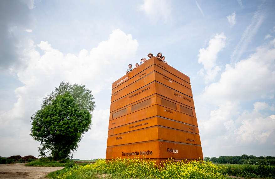 Laat je verrassen in Vlaams-Brabant
