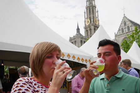Oost-Vlaanderen: alles in één kaart